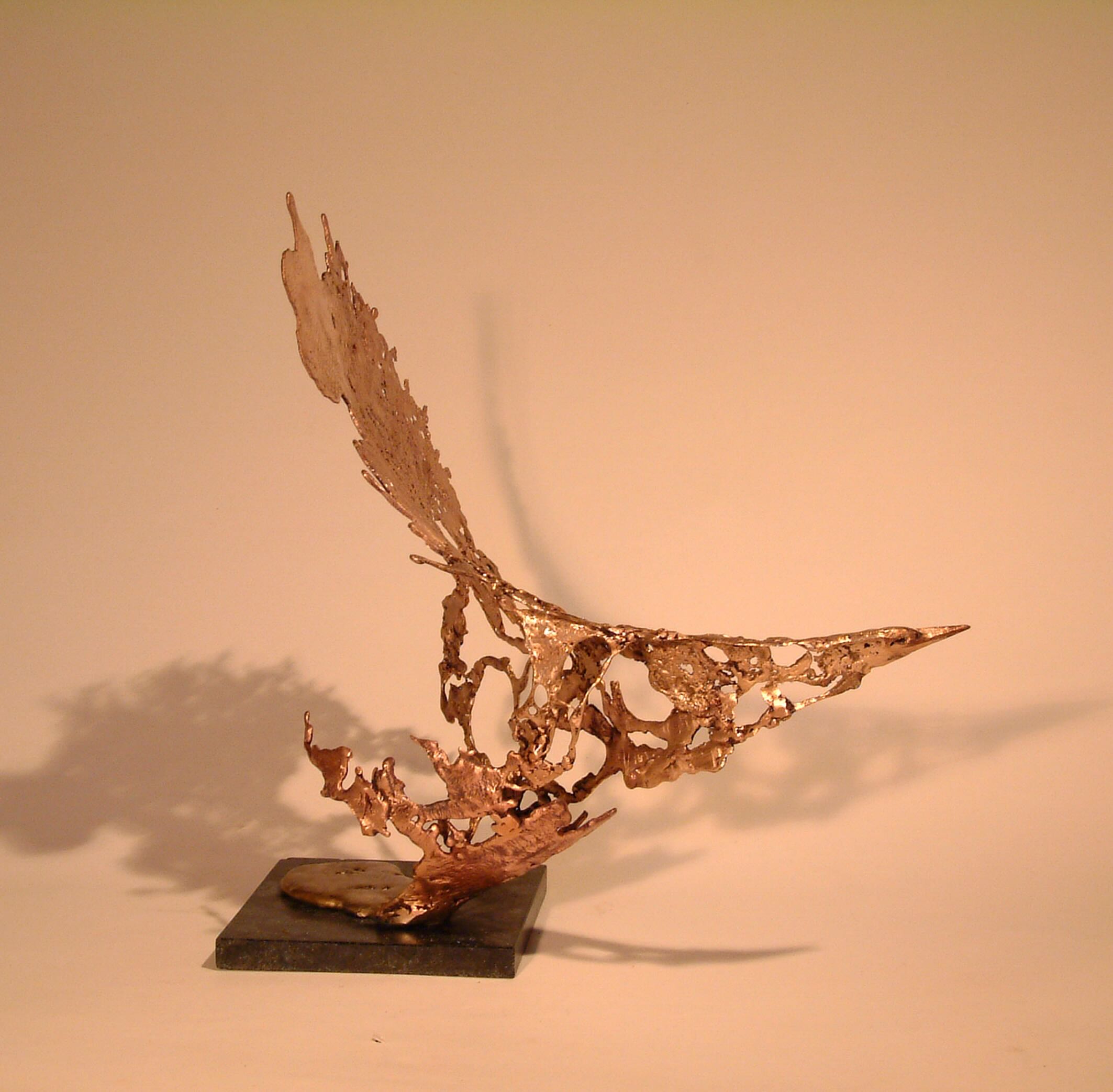 Attempt to fly